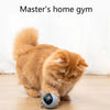 RovoToy - 360° Interactive Cat Toy