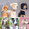 PoochDazzle - Reflective Dog Collar