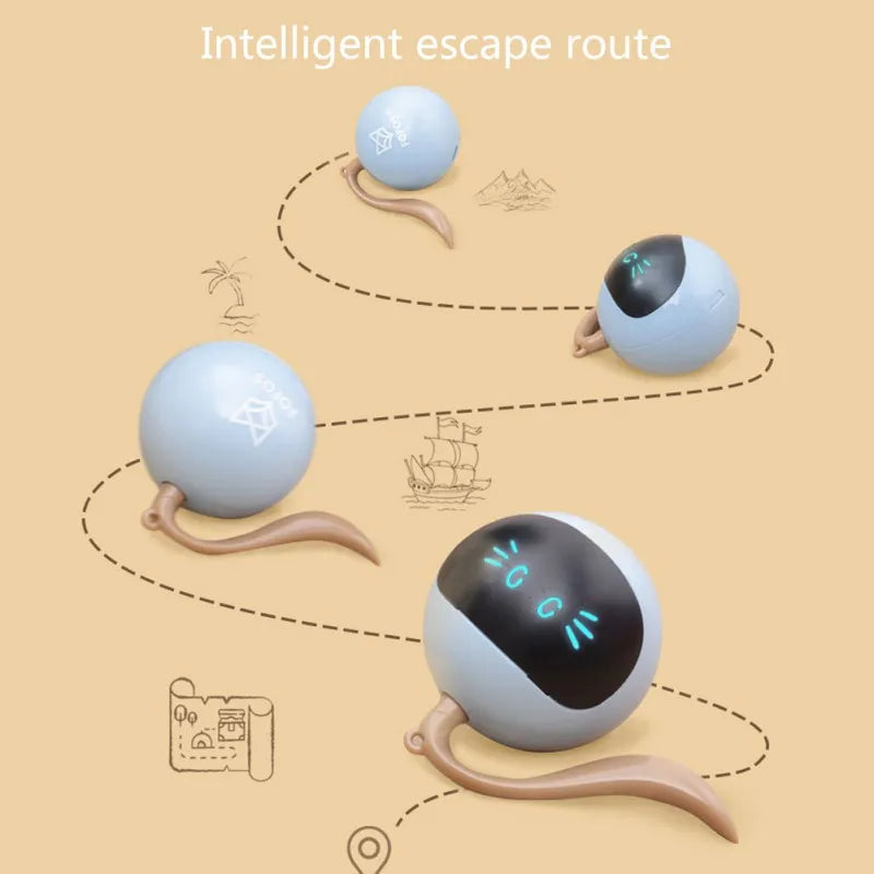 Interactive Cat Toy