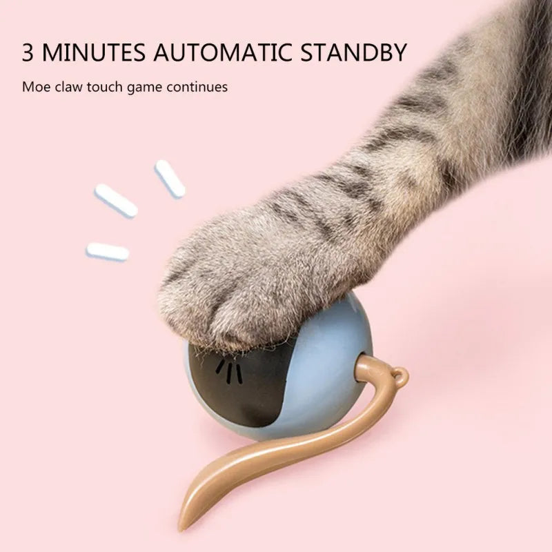 Interactive Cat Toy