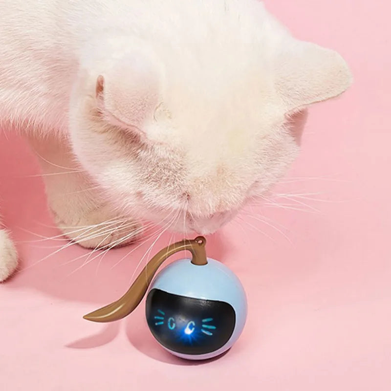 Interactive Cat Toy