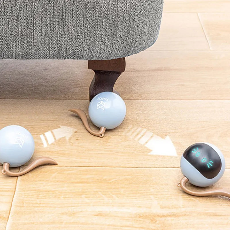 Interactive Cat Toy