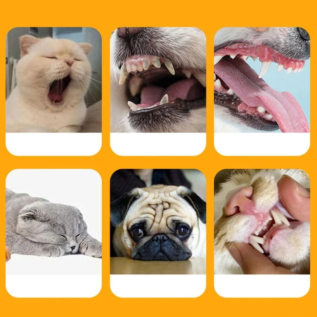 PetBright - 360° Silicone
