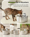 Hydrate &amp; Purr: Premium Wireless Steel Cat Fountain