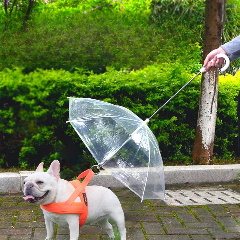 K9cover-Dog Umbrella