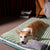 PetPad - Orthopedic dog bed